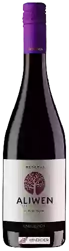 Wijnmakerij Undurraga - Aliwen Reserva Pinot Noir