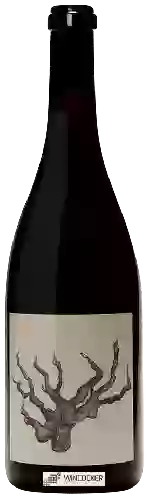 Wijnmakerij Broc Cellars - Carbonic Carignan