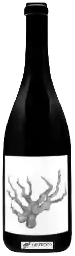 Wijnmakerij Broc Cellars - Carignan