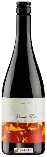 Wijnmakerij Crū - Library Vineyard Pinot Noir