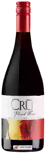 Wijnmakerij Crū - Vineyard Montage Pinot Noir