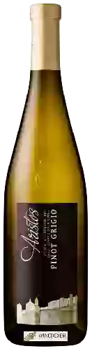 Wijnmakerij Eisacktaler Kellerei Cantina Valle Isarco - Aristos Pinot Grigio