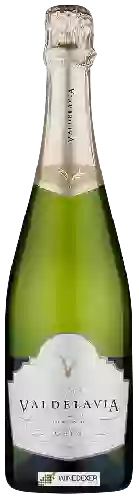 Wijnmakerij Vallformosa - Cava Valdelavia Brut