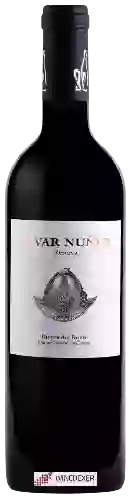 Wijnmakerij Valtoñar - Alvar Núñez Reserva