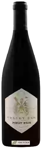 Wijnmakerij Velvet Bee - La Encantada Vineyard Pinot Noir