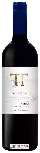 Wijnmakerij Ventisquero - Tantehue Merlot