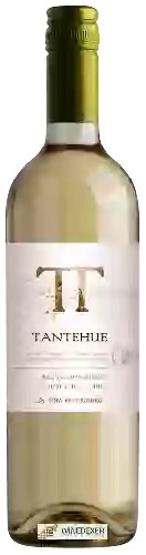 Wijnmakerij Ventisquero - Tantehue Sauvignon Blanc