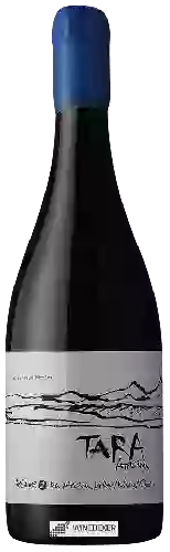 Wijnmakerij Ventisquero - Tara Syrah (Shiraz)