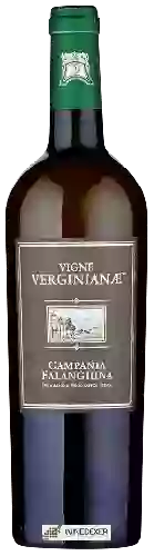 Wijnmakerij Vigne Verginianae - Campania Falanghina