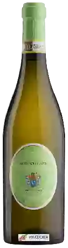 Wijnmakerij Viberti Giovanni - Moscato d'Asti