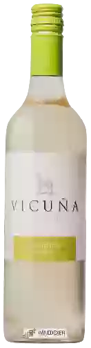 Wijnmakerij Vicuña - Sauvignon Blanc