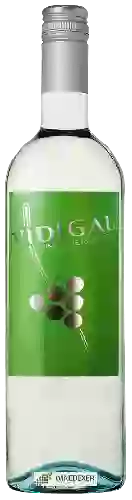 Wijnmakerij Vidigal - Vinho Verde