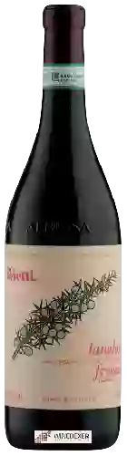 Wijnmakerij Vietti - Freisa Vivace Langhe