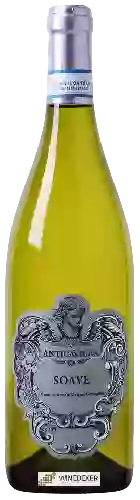 Wijnmakerij Antica Vigna - Soave