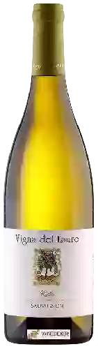Wijnmakerij Vigna del Lauro - Sauvignon