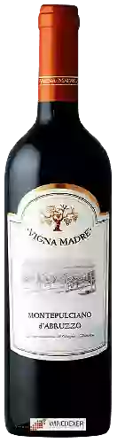 Wijnmakerij Vigna Madre - Montepulciano d'Abruzzo