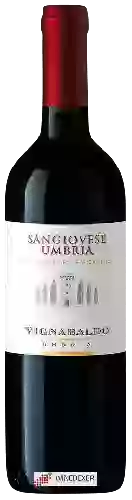 Wijnmakerij Vignabaldo - Sangiovese Umbria