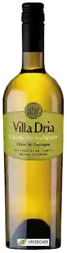 Wijnmakerij Villa Dria - Colombard - Sauvignon (Côtes Sauvage)