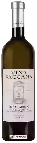 Wijnmakerij Vina Baccana - Pinot Grigio