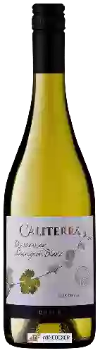 Wijnmakerij Caliterra - Chardonnay - Sauvignon Blanc