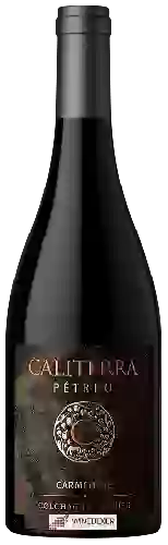 Wijnmakerij Caliterra - Pétreo Carménère