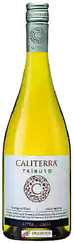 Wijnmakerij Caliterra - Tributo Sauvignon Blanc