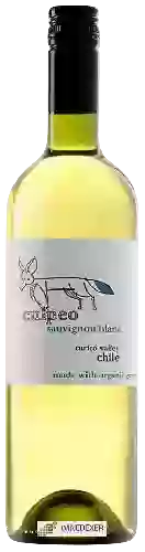 Wijnmakerij La Fortuna - Culpeo Sauvignon Blanc