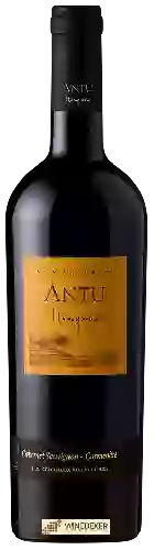 Wijnmakerij MontGras - Antu Ninquén Cabernet Sauvignon - Carmenère