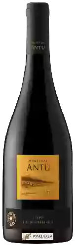 Wijnmakerij MontGras - Antu Syrah