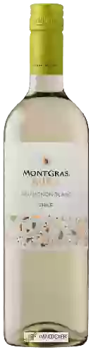 Wijnmakerij MontGras - Aura Sauvignon Blanc