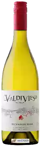 Wijnmakerij Valdivieso - Sauvignon Blanc