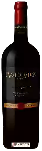 Wijnmakerij Valdivieso - Single Vineyard Carmenère