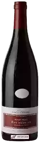 Wijnmakerij Vincent Prunier - Bourgogne Pinot Noir
