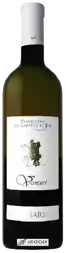 Wijnmakerij Vini Venturi - San Martino Verdicchio dei Castelli di Jesi