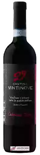 Wijnmakerij Vintinove - Cabernet Franc