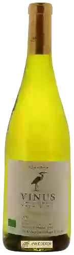 Wijnmakerij Vinus - Viognier