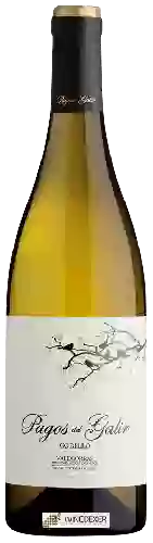 Bodegas Virxen de Galir - Pagos del Galir Godello