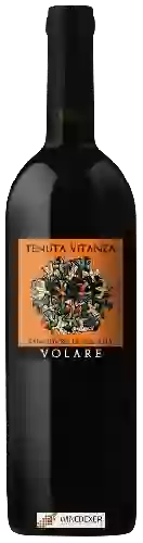 Wijnmakerij Vitanza - Volare