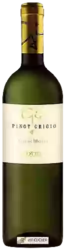 Wijnmakerij Viticoltori Ponte - Giò Pinot Grigio