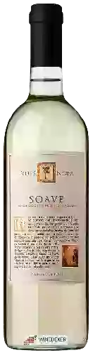 Wijnmakerij Vitis Nostra - Soave