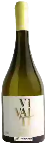 Wijnmakerij Vivalti - Alvarinho