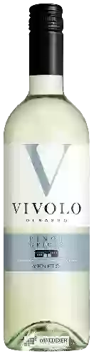 Wijnmakerij Vivolo di Sasso - Pinot Grigio Veneto