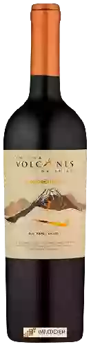 Wijnmakerij Volcanes - Carménère