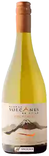 Wijnmakerij Volcanes - Tectonia Chardonnay