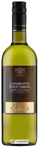 Wijnmakerij Voluntè - Catarratto - Pinot Grigio