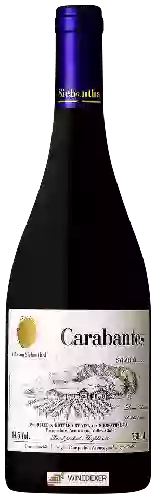 Wijnmakerij Von Siebenthal - Carabantes Syrah