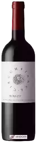 Wijnmakerij Waterkloof - Circumstance Merlot