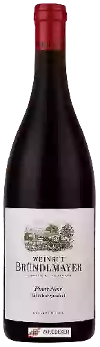 Wijnmakerij Weingut Bründlmayer - Pinot Noir