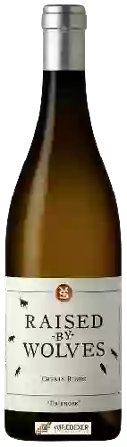 Wijnmakerij Yardstick - Raised by Wolves Driehoek Chenin