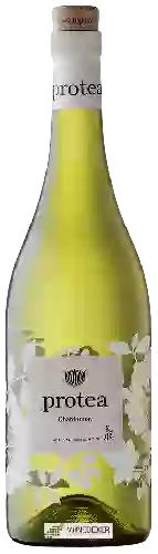 Wijnmakerij Protea - Chardonnay